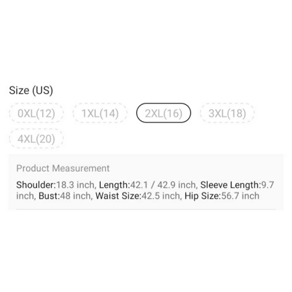 NEW Plus Elegant Little Black Dress - Picture 7 of 8